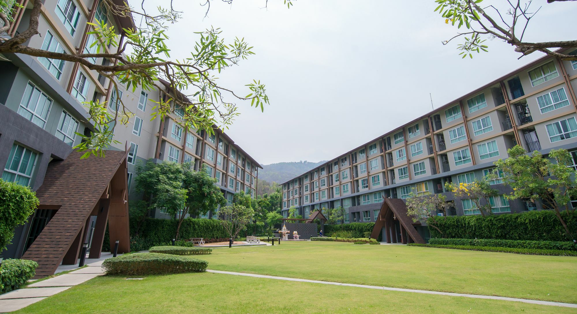 Hoc Daily Apartment Чиангмай Экстерьер фото